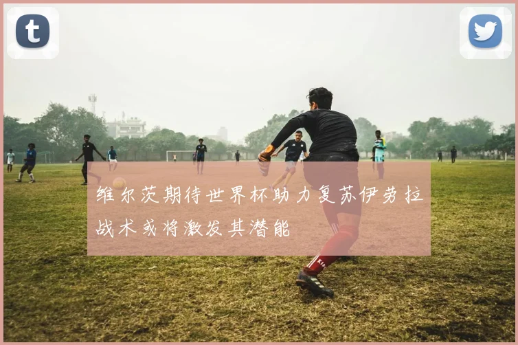 维尔茨期待世界杯助力复苏伊劳拉战术或将激发其潜能