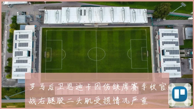 罗马后卫恩迪卡因伤缺席赛季收官战右腿股二头肌受损情况严重