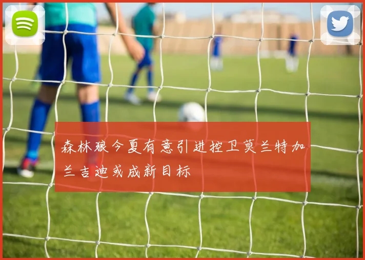 森林狼今夏有意引进控卫莫兰特加兰吉迪或成新目标