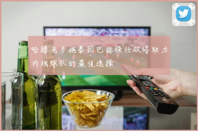 哈滕老乡施泰因巴赫强壮双塔助力内线球队的最佳选择