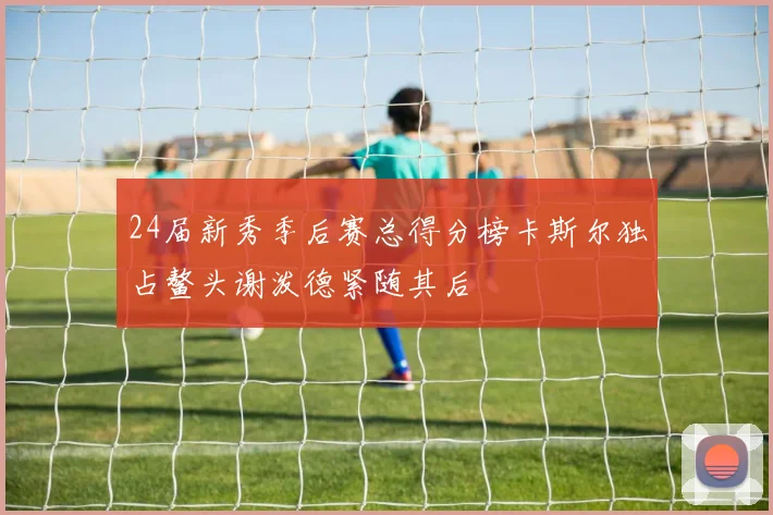 24届新秀季后赛总得分榜卡斯尔独占鳌头谢泼德紧随其后